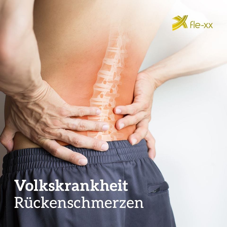 fle-xx Infografik: Volkskrankheit Rückenschmerzen